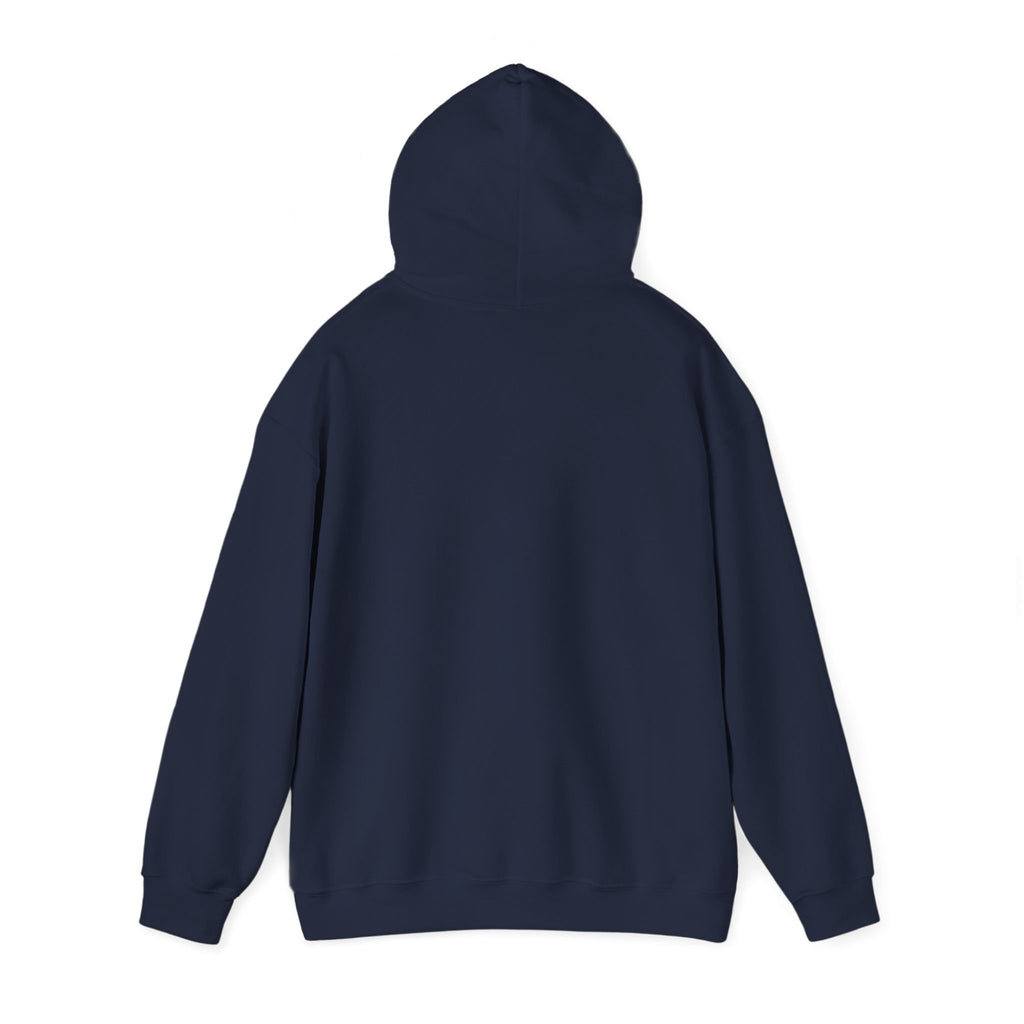 In This Economy Hoodie — Funny Adulting Sweatshirt