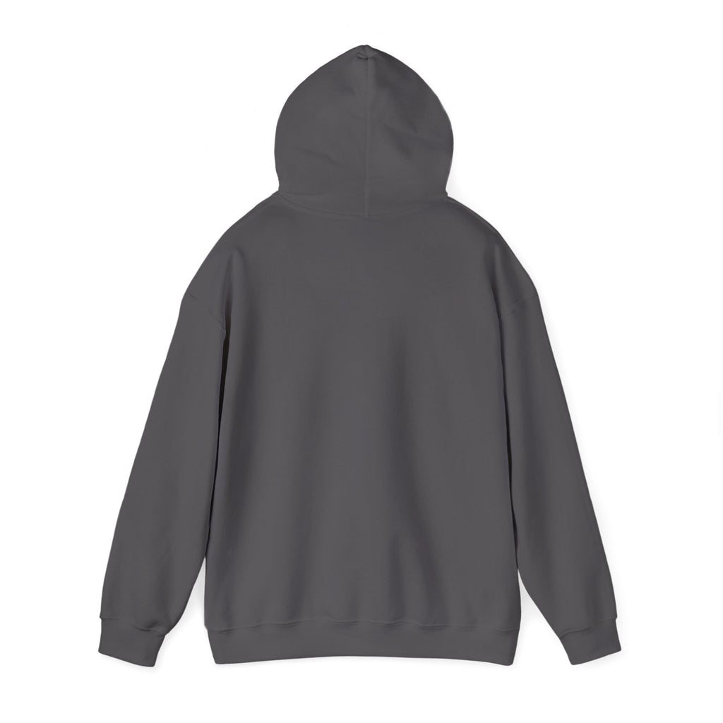 In This Economy Hoodie — Funny Adulting Sweatshirt