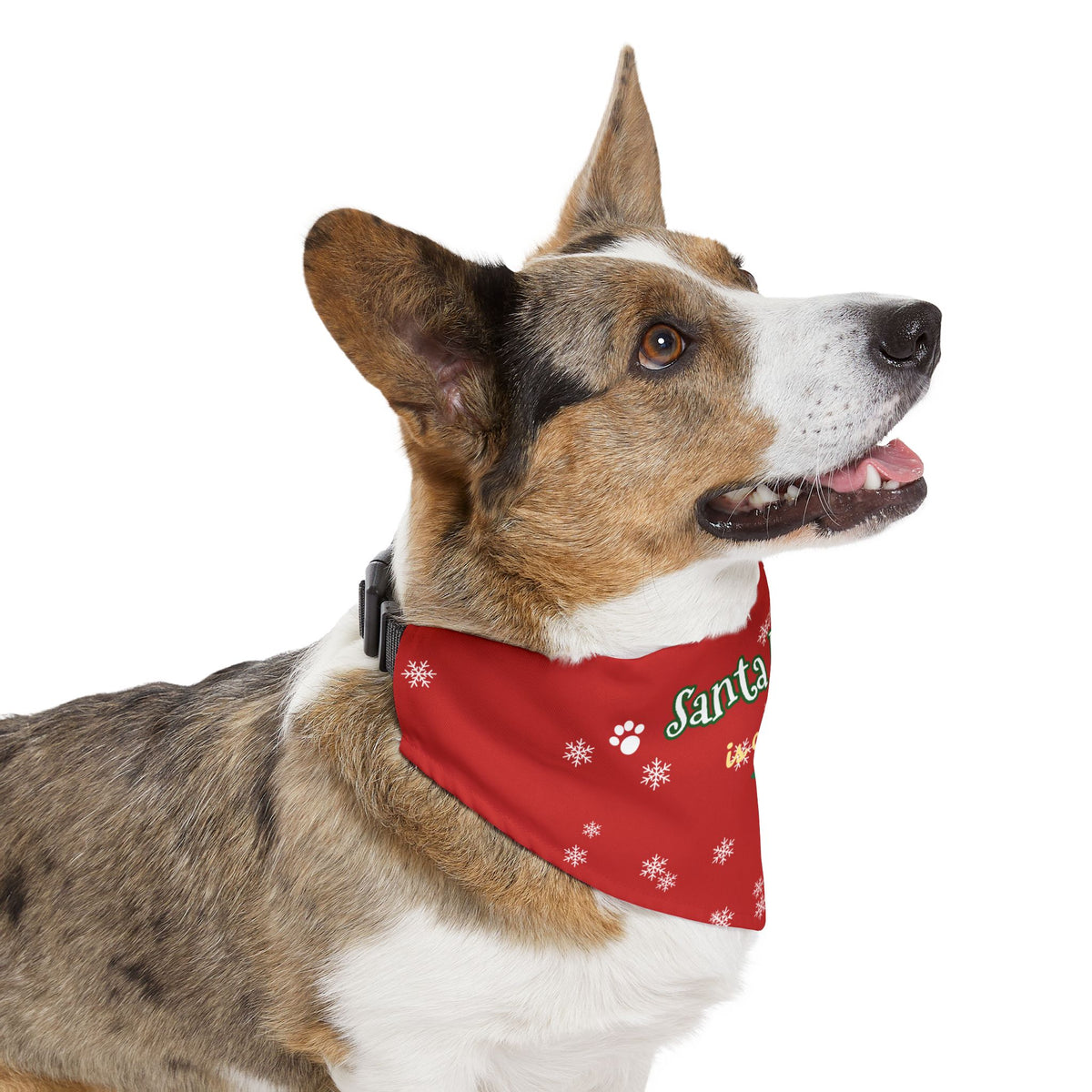 Santa Paws Is Coming Dog Bandana Collar — Christmas Snowflake Pet Bandana
